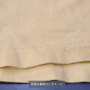 70s vintage RUSSELL ATHLETIC ラッセルアスレティック レディース 半袖Tシャツ リンガーT USA製 シングルステッチ フロッキープリント