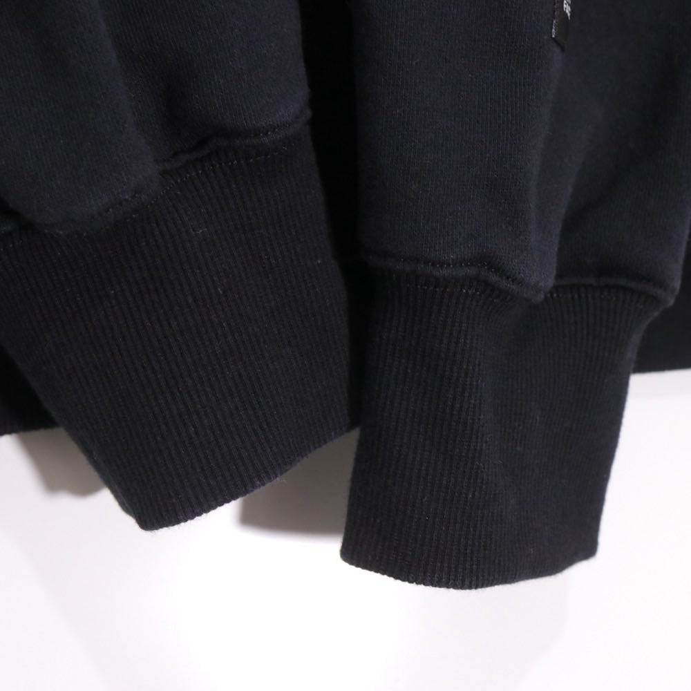 THE NORTH FACE 23FW | Trans Antarctica Hoodie "Black" (NT62332)