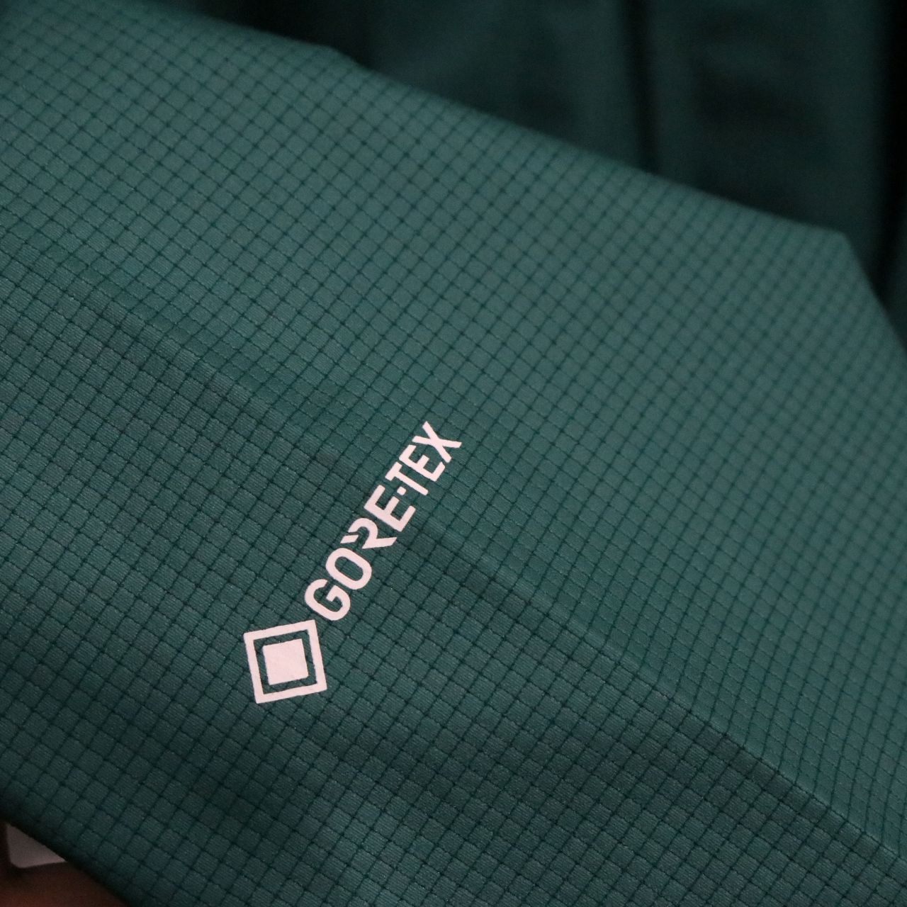 THE NORTH FACE ザノースフェイス トレイルエンデュランスジャケットGTX 限定カラー