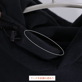 THE NORTH FACE 23FW | Trans Antarctica Hoodie "Black" (NT62332)