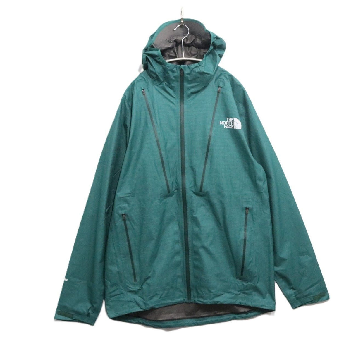THE NORTH FACE ザノースフェイス トレイルエンデュランスジャケットGTX 限定カラー