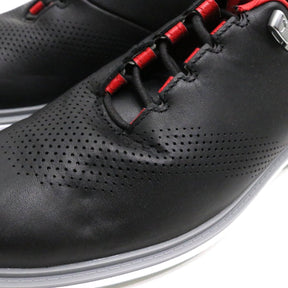 NIKE(ナイキ) JORDAN ADG 4 GOLF