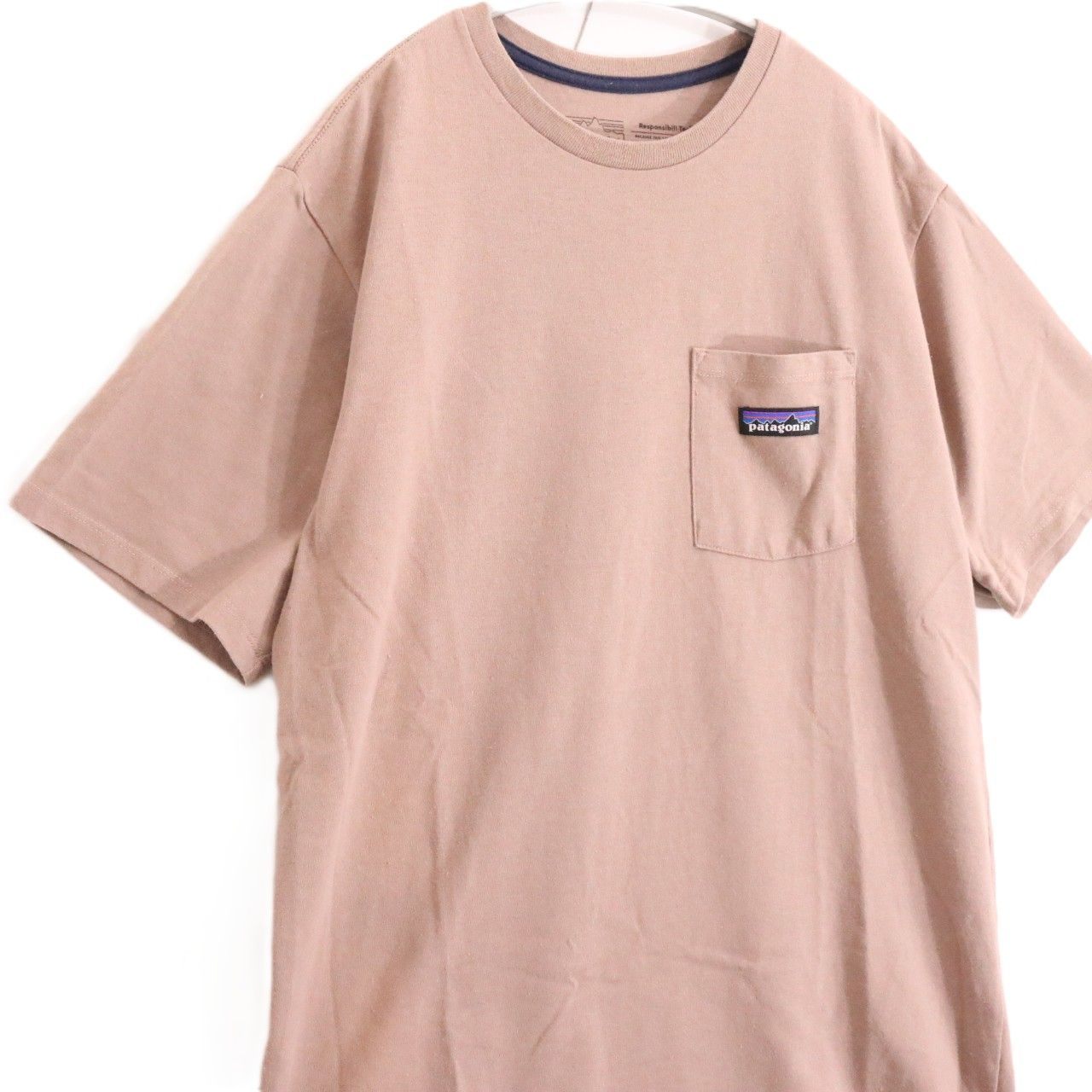 Patagonia(パタゴニア)21ss T-Shirt