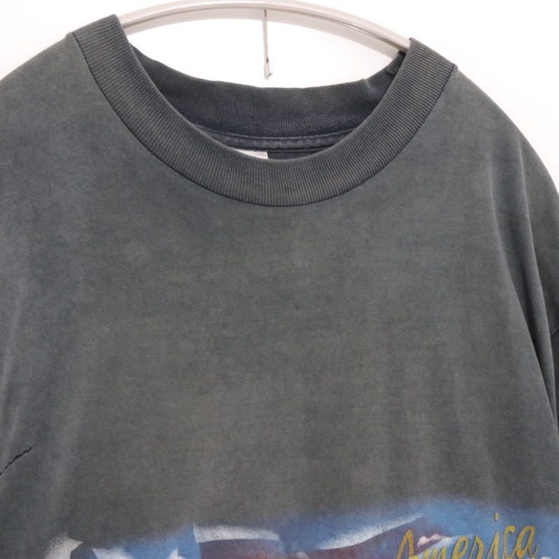 90s Vintage Hazelwood | America the Beautiful Graphic Tee "Mount Rushmore & Snake" (Made in USA)