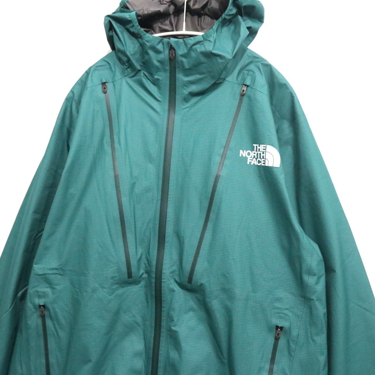 THE NORTH FACE ザノースフェイス トレイルエンデュランスジャケットGTX 限定カラー