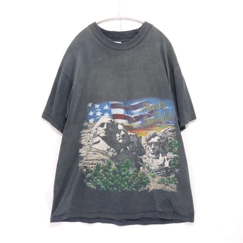 90s Vintage Hazelwood | America the Beautiful Graphic Tee "Mount Rushmore & Snake" (Made in USA)