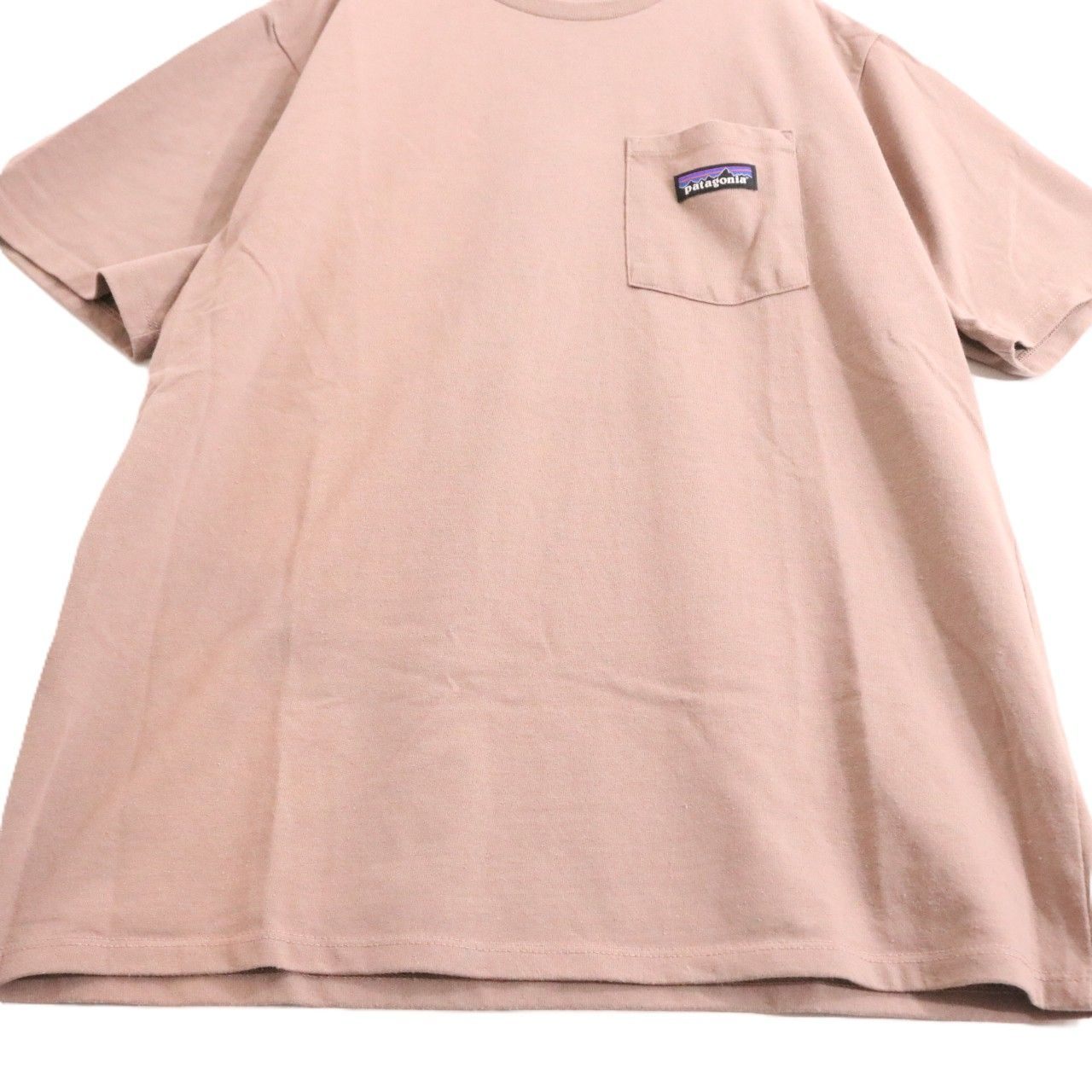 Patagonia(パタゴニア)21ss T-Shirt