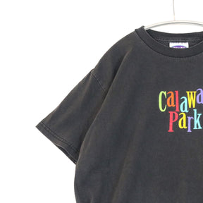 90s後半～00s カナダ製 WAVES M メンズ 半袖Tシャツ Calaway Park