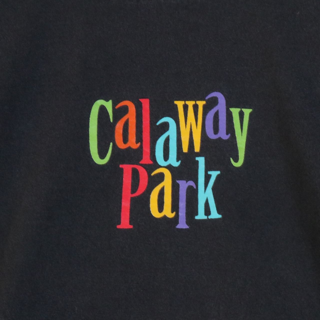 90s後半～00s カナダ製 WAVES M メンズ 半袖Tシャツ Calaway Park