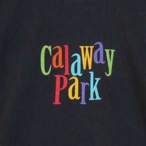 90s後半～00s カナダ製 WAVES M メンズ 半袖Tシャツ Calaway Park